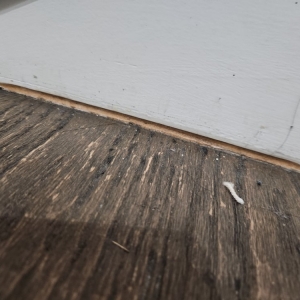 Photo of Floor N More Southlake