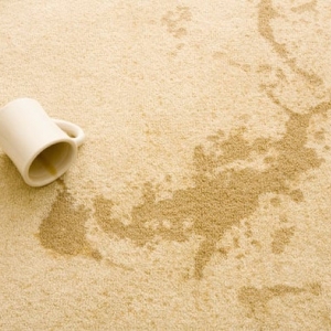 Photo of Eco Friendly Services