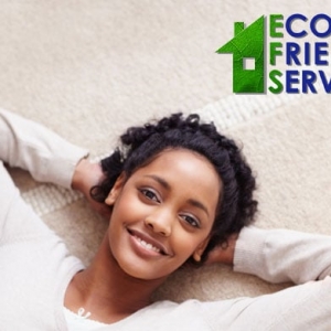 Photo of Eco Friendly Services