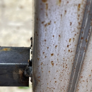 Photo of ProTex Fence and Stain