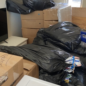 Photo of Yaady trim junk removal