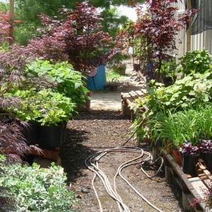Photo of Hoosier Home & Garden