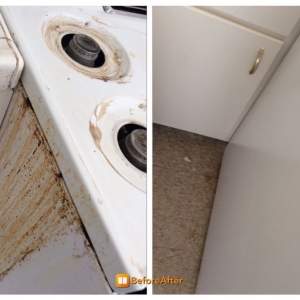 Photo of Absolutely Clean Cleaning Services