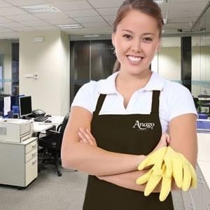 Photo of Anago Commercial Cleaning Services of Western PA