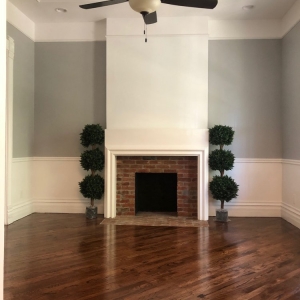 Photo of Panoramic Pro Painting
