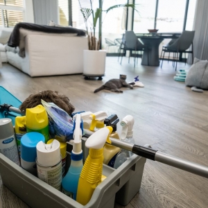 Photo of Presto Cleaning Maid Service