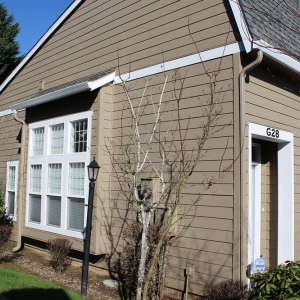 Photo of Lifetime Exteriors