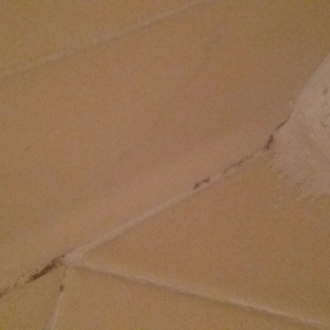 Photo of Grout Superior LLC