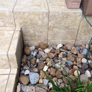 Photo of Texas Tile and Stone Care