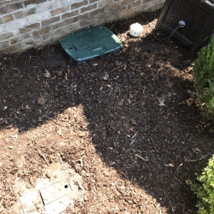 Photo of B&B Irrigation and Landscape
