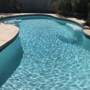 Photo of The Pool Guy Plus
