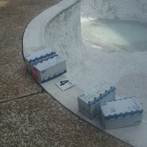 Photo of Penguin Pool Services