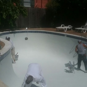Photo of Penguin Pool Services