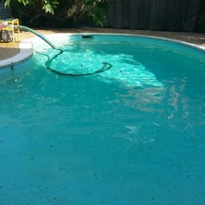 Photo of Penguin Pool Services
