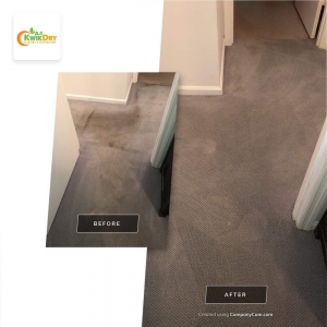 Photo of A-1 Kwik Dry Carpet Cleaning & Air Duct Cleaning