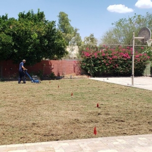 Photo of A1 Lawn Aeration