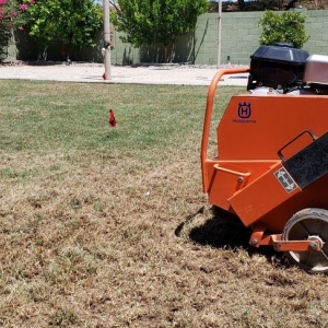 Photo of A1 Lawn Aeration