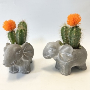 Photo of Eastlake Floral Design