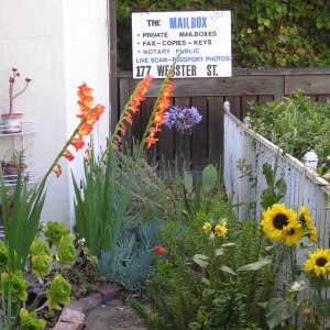 Photo of Mail Box