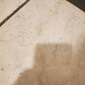 Photo of Professional Office Cleaning NW