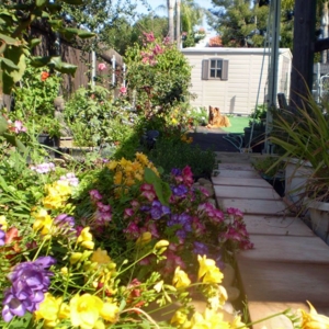 Photo of Chase Pacific Property Management Services