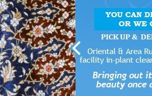 Photo of Showcase Carpet & Tile Cleaning