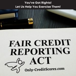 Photo of Only Credit Scores