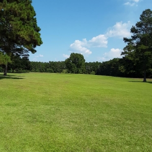 Photo of J&H Lawn Care Services
