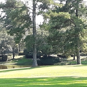 Photo of J&H Lawn Care Services