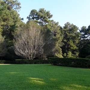 Photo of J&H Lawn Care Services