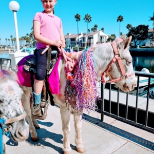 Photo of My Little Pony Rides