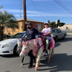 Photo of My Little Pony Rides