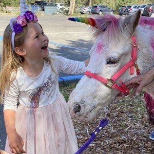 Photo of My Little Pony Rides