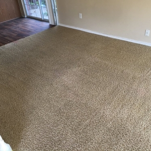 Photo of Omega Steam Carpet Cleaning & Water Restoration