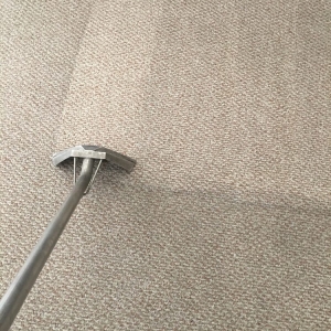 Photo of Omega Steam Carpet Cleaning & Water Restoration