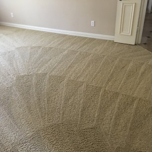 Photo of Omega Steam Carpet Cleaning & Water Restoration