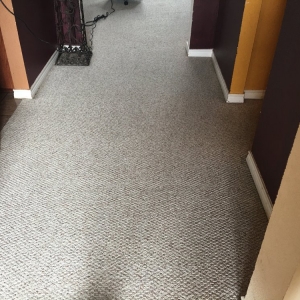 Photo of Omega Steam Carpet Cleaning & Water Restoration