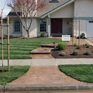 Photo of Evergreen Landscape & Concrete