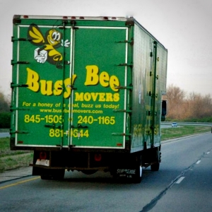 Photo of Busy Bee Movers