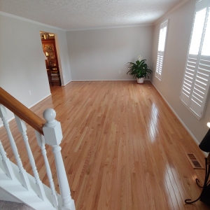 Photo of Angel Floors