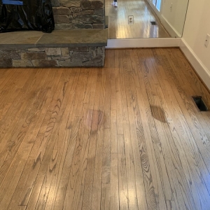 Photo of Angel Floors