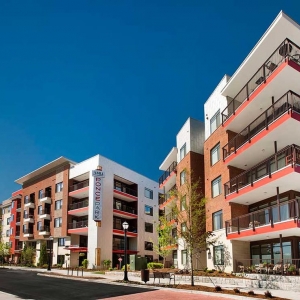 Photo of AMLI Ponce Park
