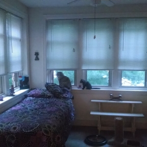 Photo of Drexel Court Apartments