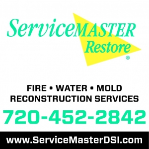 Photo of ServiceMaster DSI