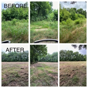 Photo of Mid-South Turf Professionals