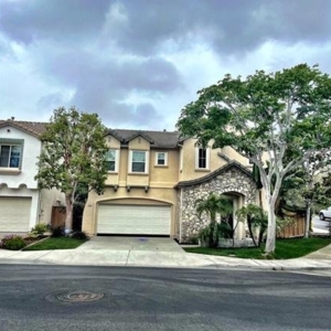 Photo of CM Precision Tree and Landscaping