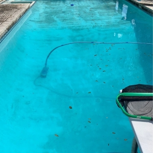 Photo of Pool Aid