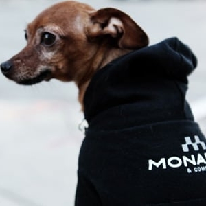 Photo of Monarch & Company