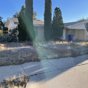 Photo of General Services Landscaping and Maintenance