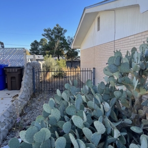 Photo of General Services Landscaping and Maintenance